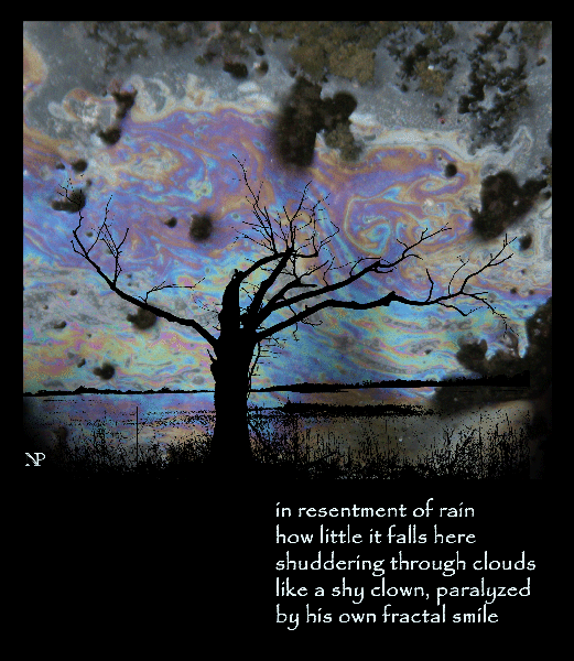 'in resentment of rain / how little it falls here / shuddering through clouds / like a shy clown, paralyzed / by his own fractal smile' by Nicole Pakan.