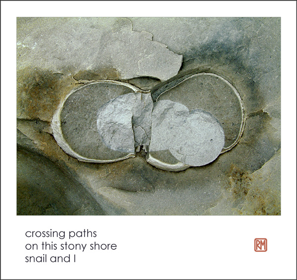 'crossing paths / on this stony shore / snail and I' by Ruth Mittleholtz.