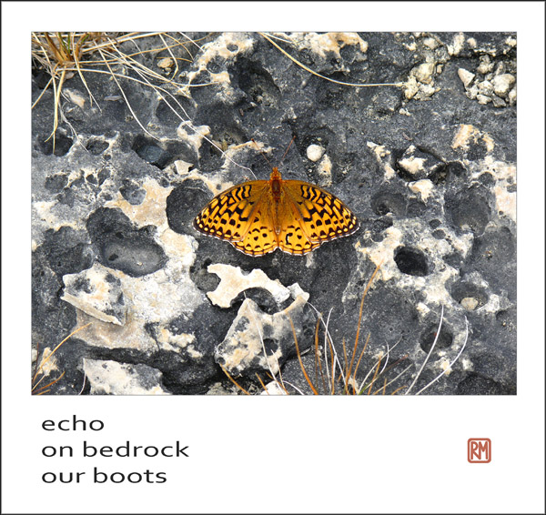 'echo / on bedrock / our boots' by Ruth Mittleholtz.