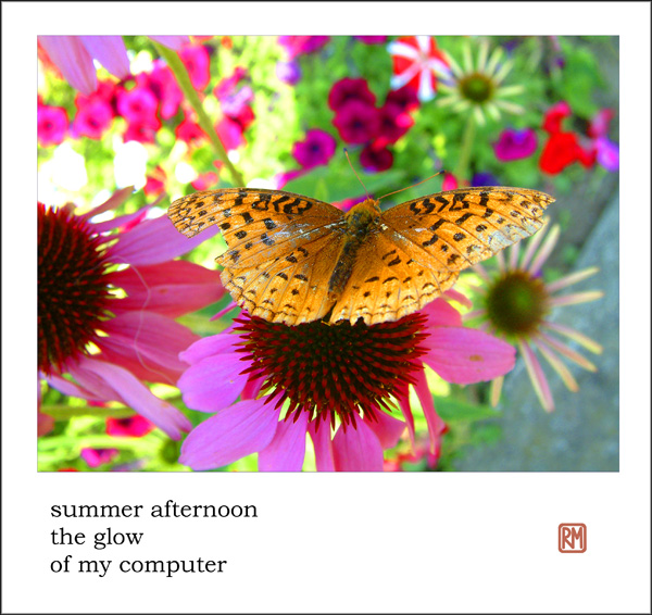 'summer afternoon / the glow  / of my computer' by Ruth Mittleholtz.