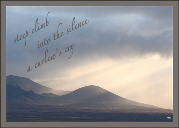 'steep climb / into the silence / a curlew's cry' by Linda Pilarski