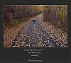 'scatter of fallen leaves� / the black dog / waiting' by Ray Rasmussen