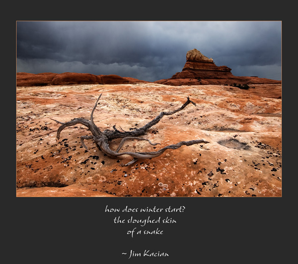 'how does winter start? / the sloughed skin / of a snake' by Ray Rasmussen. Haiku by Jim Kacian, first published in cho 6:2 July 2010 as part of the haibun "Margaret of Scotland."