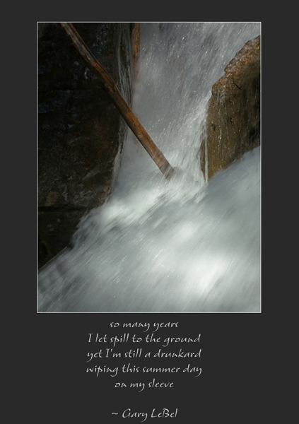 'so many years / I let spill to the ground / yet I'm still a drunkard / wiping this summer day / on my sleeve' by Ray Rasmussen. Tanka by Gary LeBel, first published in A. Rotella & D. Garrison (Eds.), Ash Moon Anthology: Poems on Aging in Modern English 