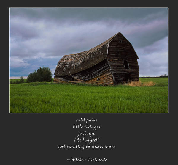 'odd pains / little twinges / just age / I tell myself / not wanting to know more' by Ray Rasmussen. Tanka by Moira Richards, first published in Eucalypt, 2007.