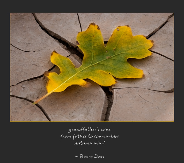 'grandfather's cane / from father to son-in-law / autumn wind' by Ray Rasmussen. Haiku by Bruce Ross was 2nd place in the 16th Annual Robert Frost Poetry Festival Haiku Contest, April 11, 2010 and was reprinted in The Saturday Evening Post, (September-Oct