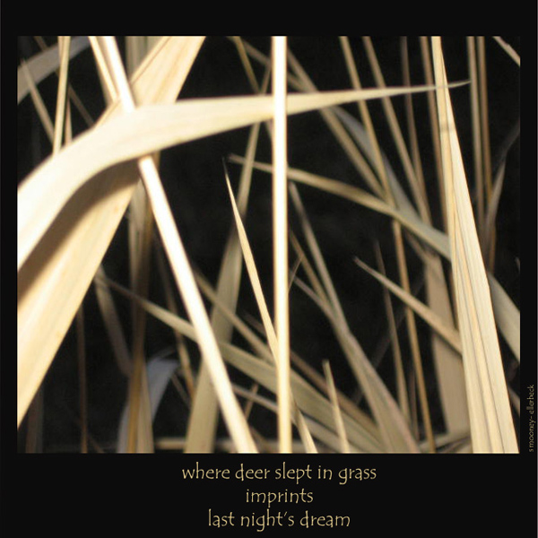 'where deer slept in grass / imprints / last night's dream' by Sandra Mooney-Ellerbeck