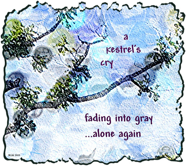 'a kestrel's cry / fading into gray / ...alone again' by Ronald Kirkland