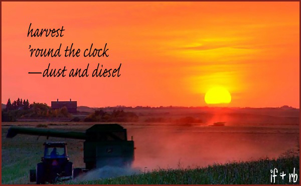 harvest / 'round the clock / dust and diesel' by Ignatius Fay. Art by Ray Belcourt