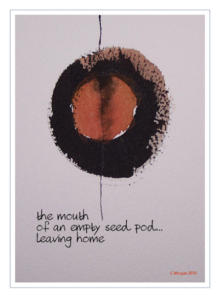 'the mouth  /of an empty seed pod... / leaving home' by Carolyn Morgan