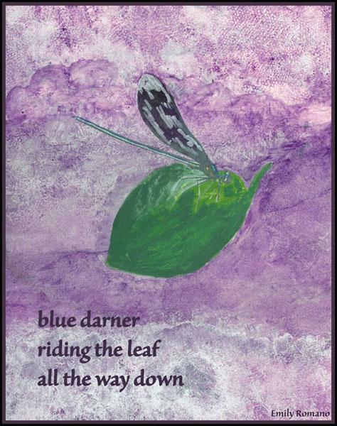 'blue darner / riding the leaf / all the way down' by Emily Romano