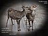 'in the world / still you and me� / temple deer' by Izak Bouwer. Art by Susan Thomas and Glenn Mason.