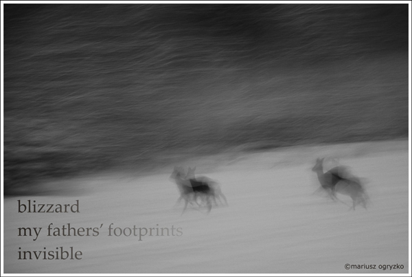 'blizzard / my father's footsteps / invisible' by Mariusz Ogryzko