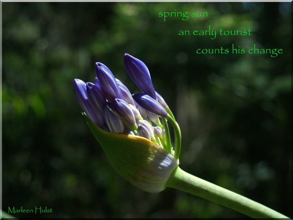 'spring sun / an early tourist / counts his change' by Marlene Hulst.  This haiku was first published in Blithe Spirit volume 20 #2, 2010.