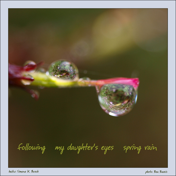 'following / my daughter's eyes / spring rain' by Simone Busch and Bea Bareis
