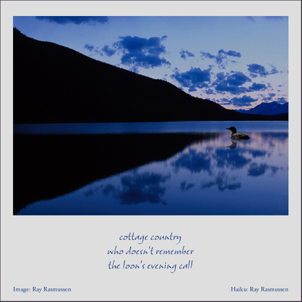 'cottage country / who doesn't remember / the loon's evening call' by Ray Rasmussen