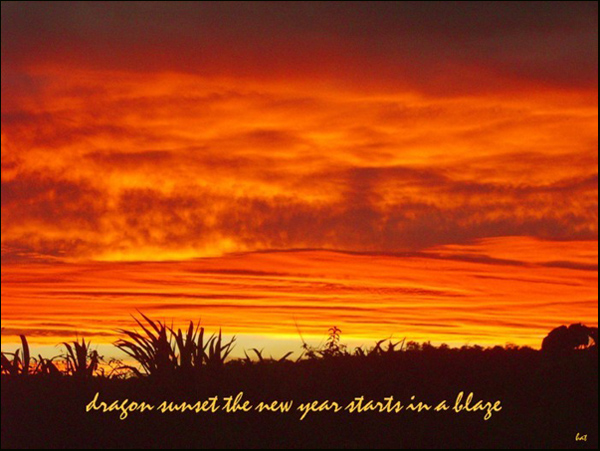 'dragon sunset the new year starts in a blaze' by Barbra Taylor.