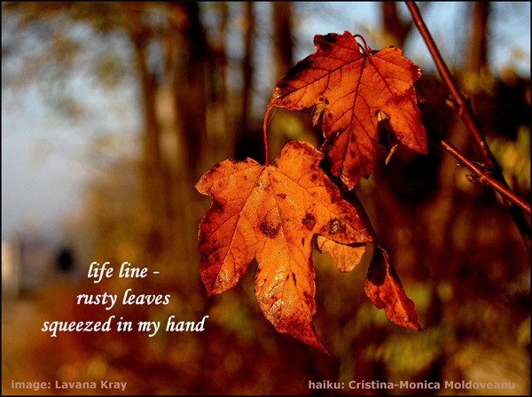 life line / rusty leaves / squeezed in my hand' by Cristina-Monica Moldveanu. Art by Lavana Kray.