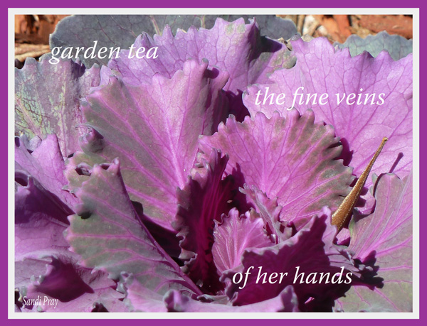 'garden tea / the fine veins / of her hands' by Sandi Pray