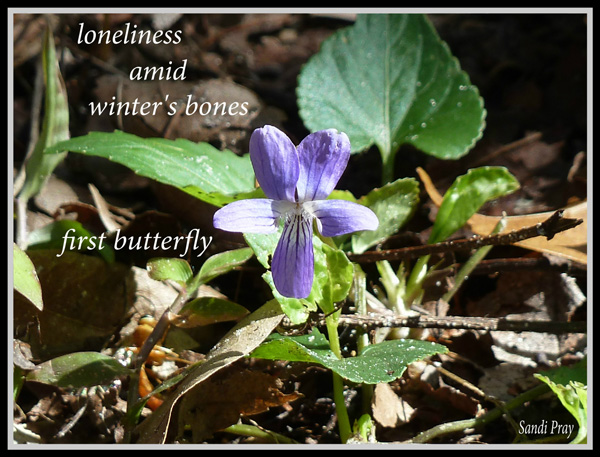 'loneliness / amid winter's bones / first butterfly' by Sandi Pray