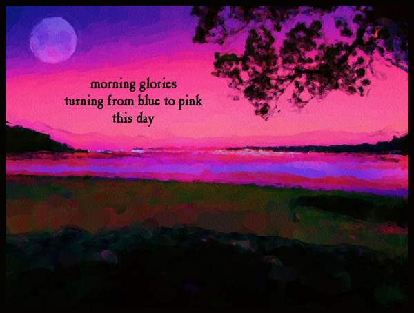 'morning glories / turning from blue to pink / this day' by Violette Rose-Jones