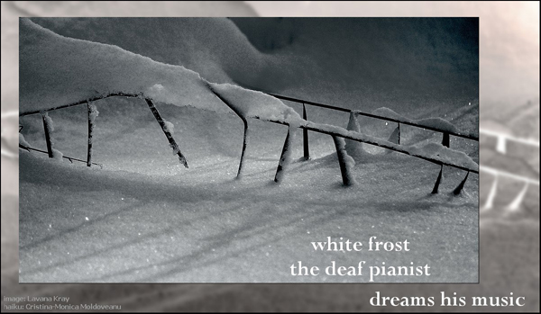 'white frost / the deaf pianist / dreams his music' by Cristina-Monica Moldoveanu. Art by Lavana Kray.