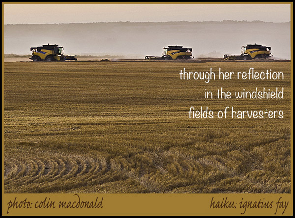 'through her reflection / in the windshield / fields of harvesters' by Ignatius Fay. Art by Colin Macdonald