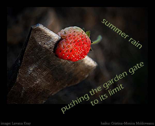 'summer rain / pushing the garden gate / to its limit' by Cristina-Monica Moldoveanu