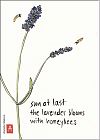 'sun at last / the lavender blooms / with honeybees' by Annette Makino